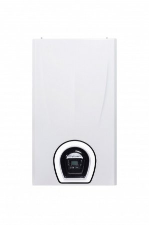 Котел газовый Federica Bugatti 24B VARME