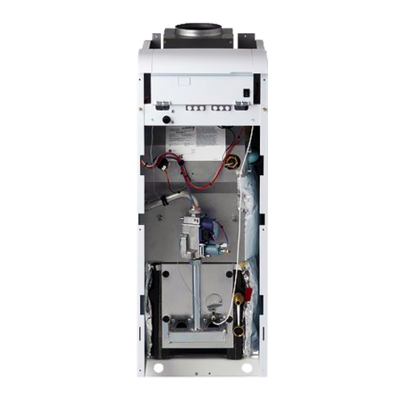 Газовый котел Protherm Медведь 20 KLOM